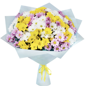 Букет із 15 різнокольорових хризантем