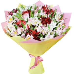 Знімок екрана 2025-10-25 о 08.50.33 Букет із 25 різнокольорових альстромерій "Райдужна мелодія"