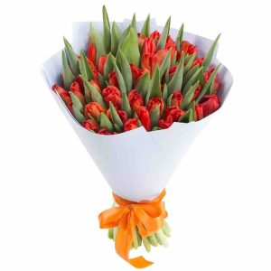 Букет із 49 червоних тюльпанів