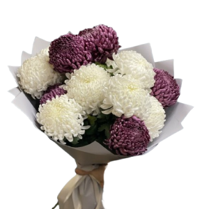 Букет із 13 хризантем Бігуді