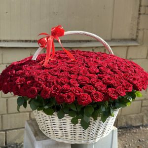 501 червона троянда в кошику