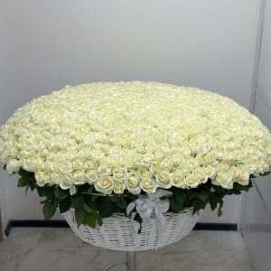 1001 біла троянда в корзинці