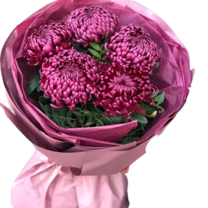 Букет із 5 хризантем у винному відтінку