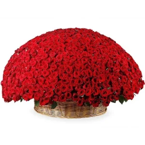 1001 червона троянда в корзинці