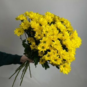 Букет із 9 жовтих хризантем під стрічку