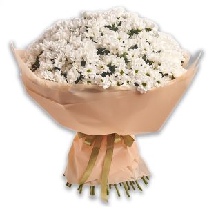 47487 Букет із 51 хризантеми