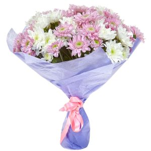 ood3hqrfvy2vs7e1s8y3h0jbldiaiiok Букет із 7 різнокольорових хризантем