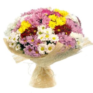 pjxbr6sos9rueoes1ruev648n3dt9wl1 Букет із 25 різнокольорових хризантем