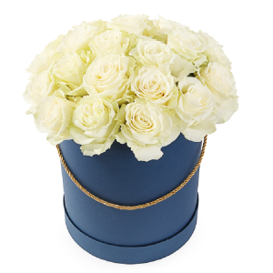 wph01xfzk5ac8mbngb2i95avowxfe6v4 Композиція із 25 білих троянд в коробці